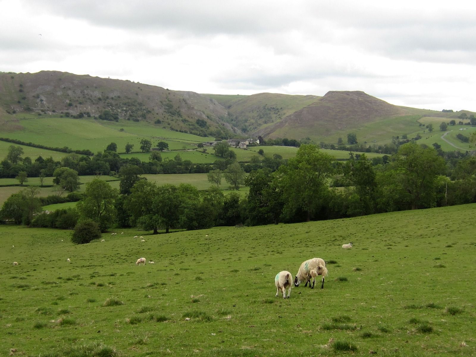  Views on walk